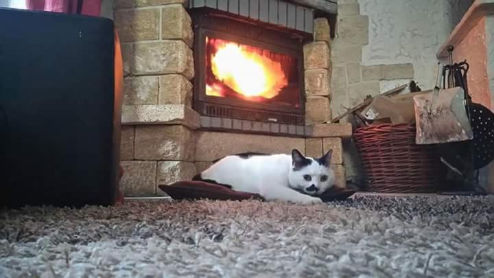 Photo of Bedroom in Clans