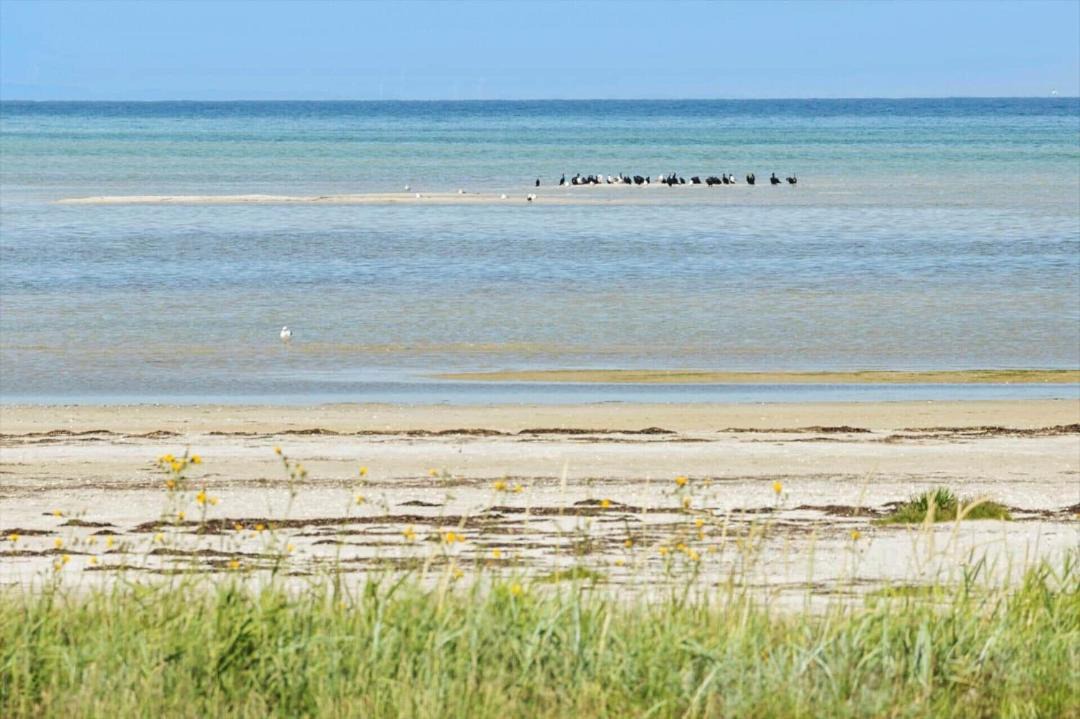 Photo of Others in Bønnerup Strand