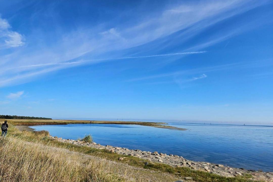 Photo of Others in Helberskov Strand