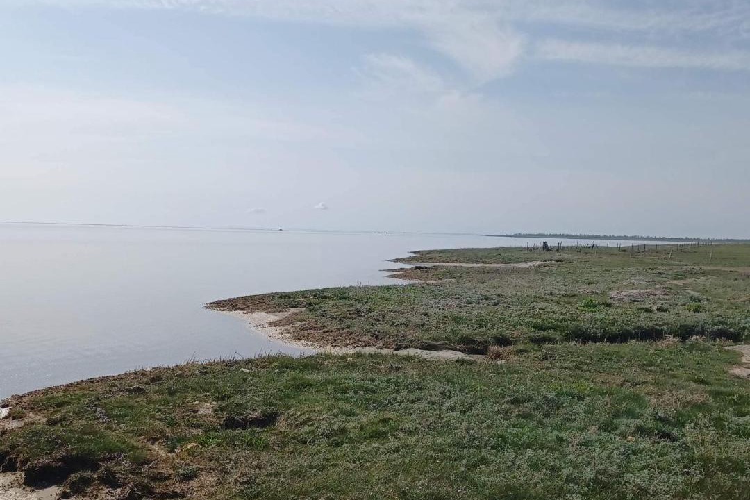 Photo of Others in Helberskov Strand