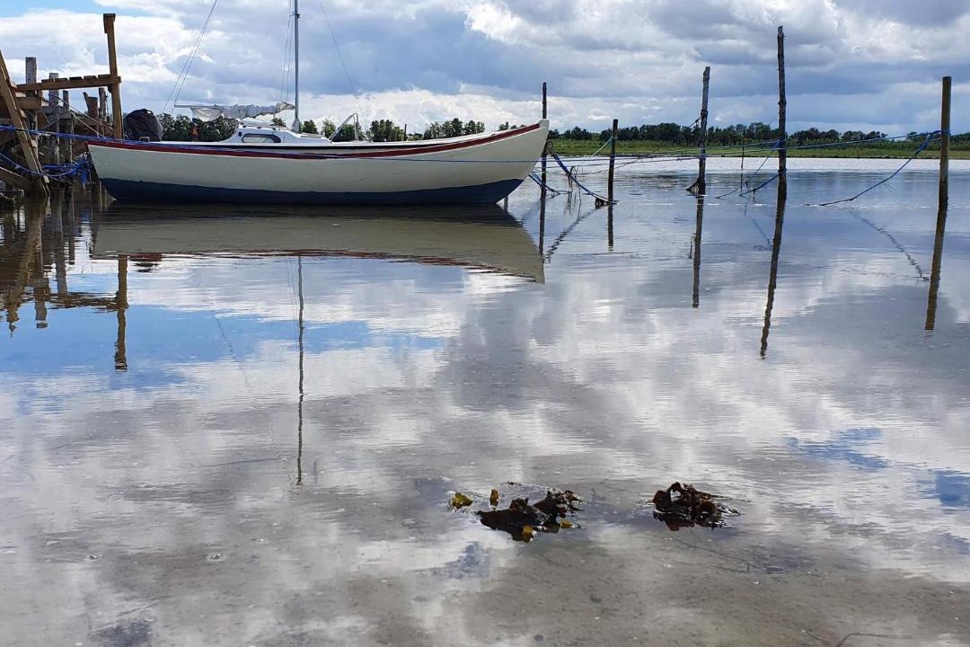 Photo of Others in Helberskov Strand