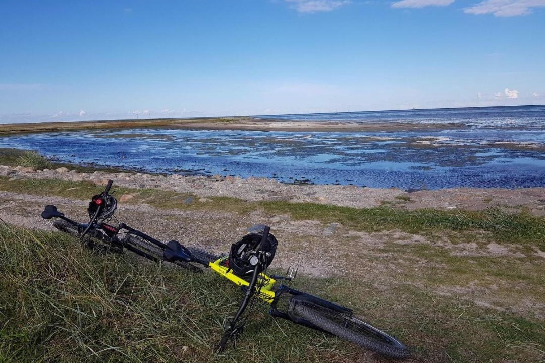 Photo of Others in Helberskov Strand