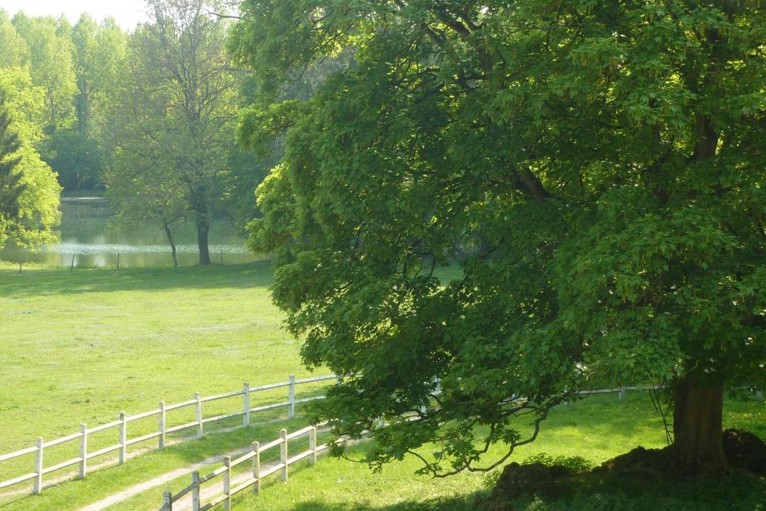 Photo of Others in Maissemy