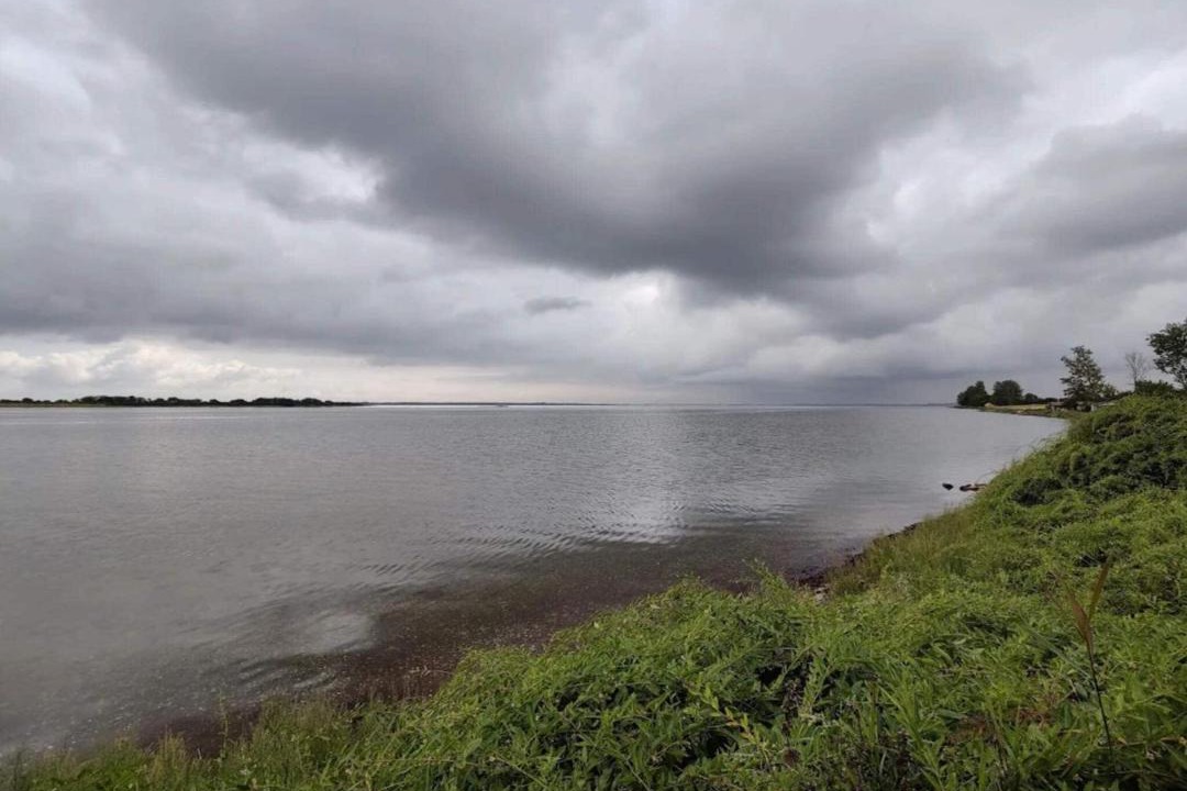 Photo of Others in Hasmark Strand