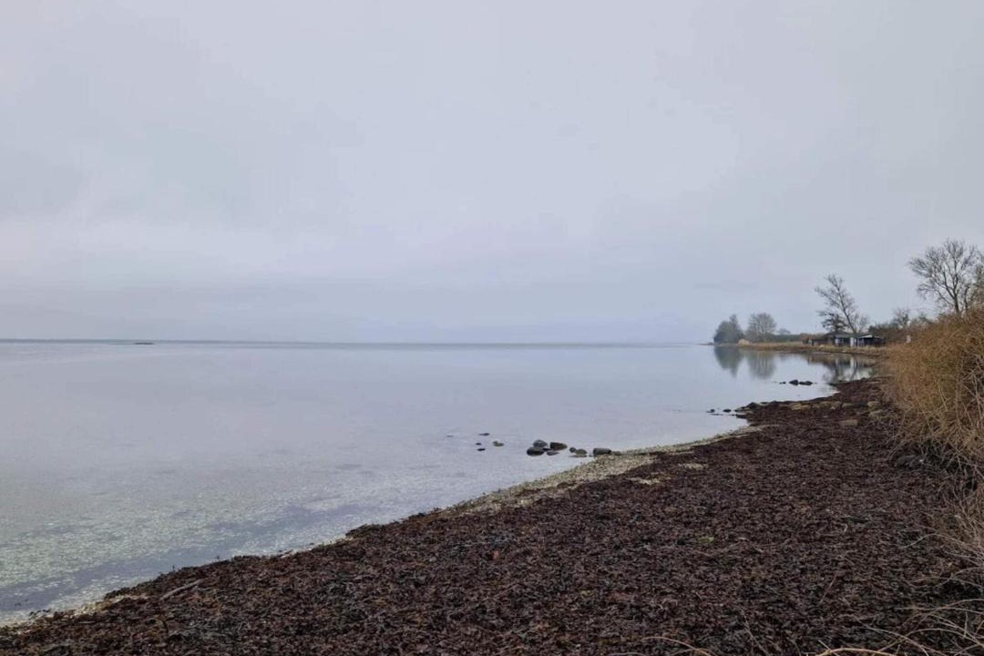 Photo of Others in Hasmark Strand