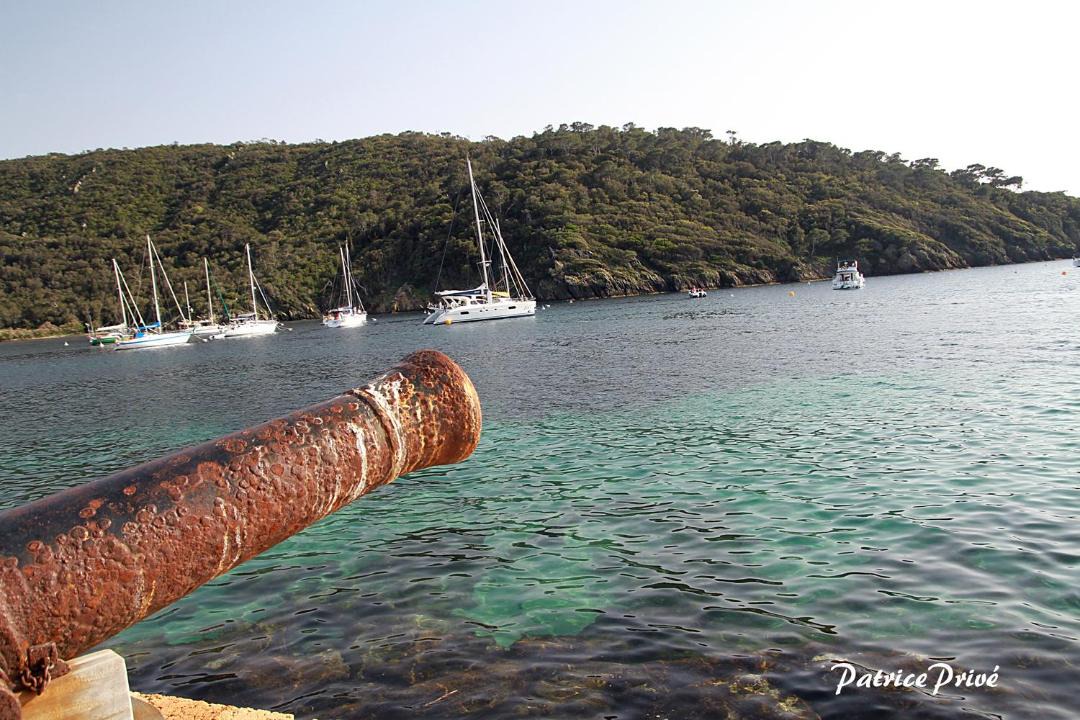 Photo of Others in Port-Cros