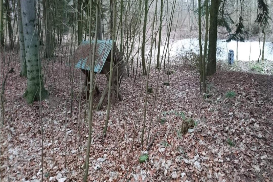 Photo of Others in Marielyst