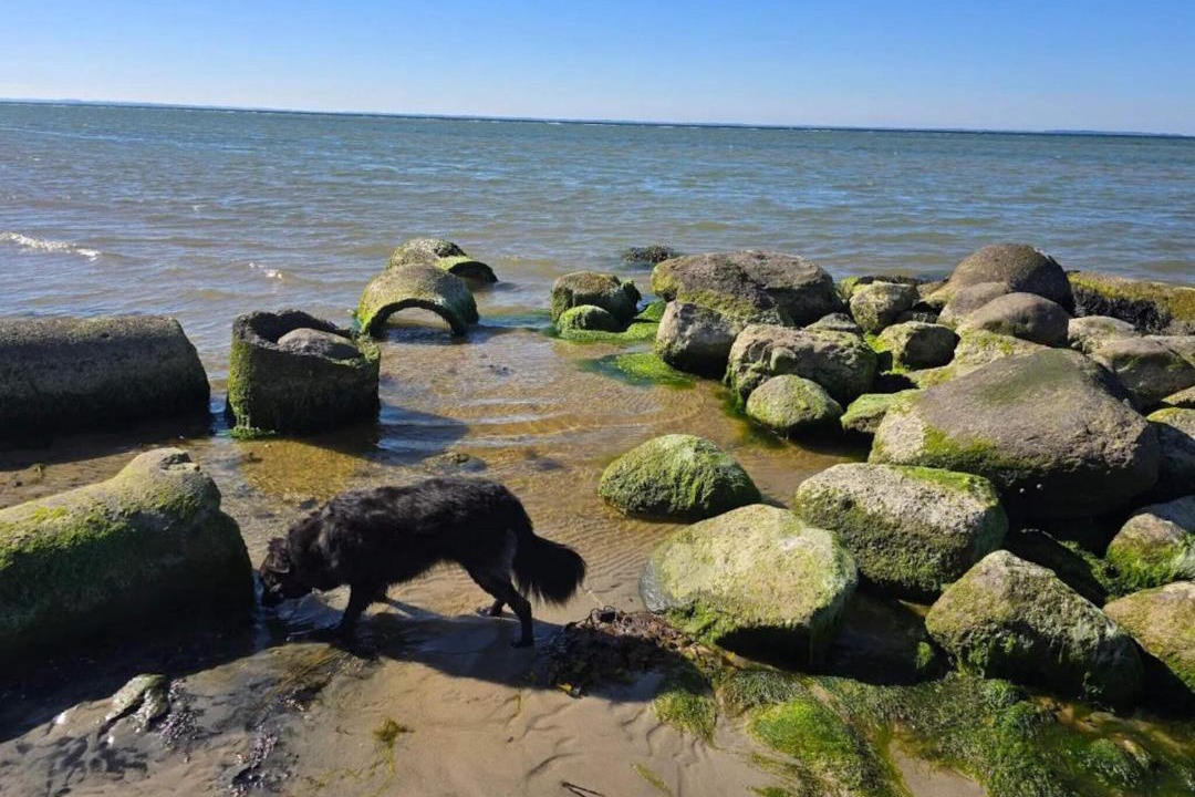 Photo of Others in Nordborg