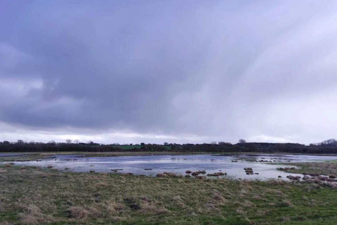Photo of Others in Nordborg