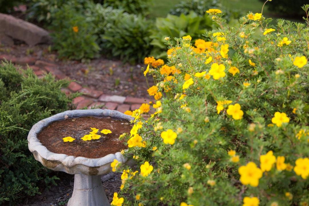 Photo of Outdoor in Off Broadway