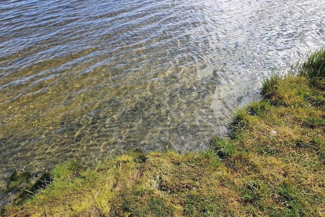 Photo of Others in Ørsted