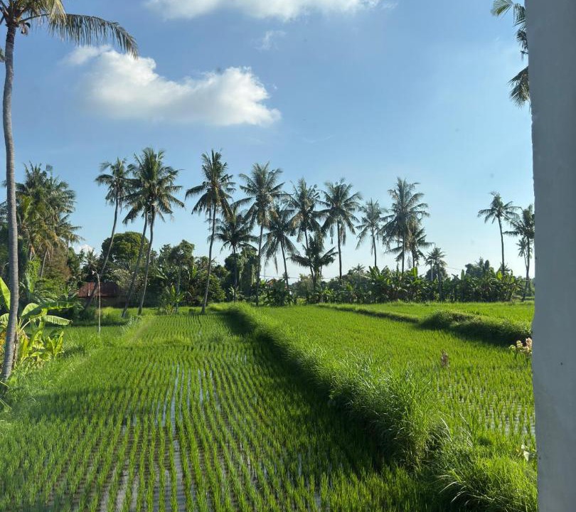 Photo of Others in Buleleng