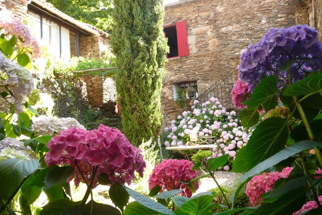 Photo of Others in Chamborigaud