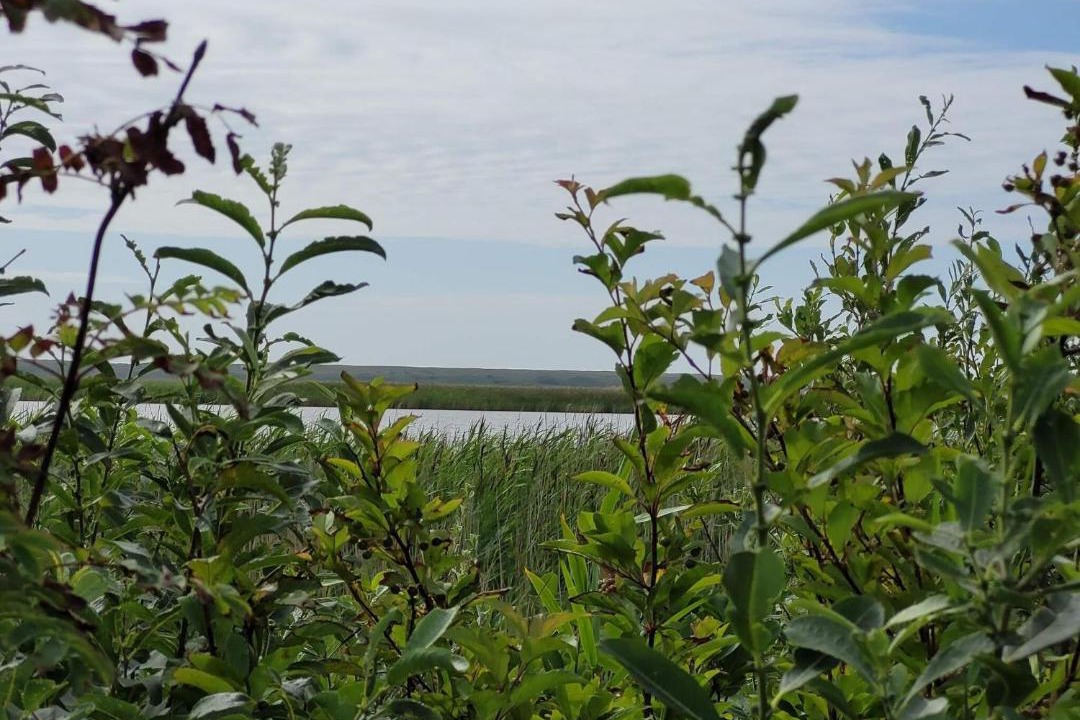 Photo of Others in Nørre Fjand