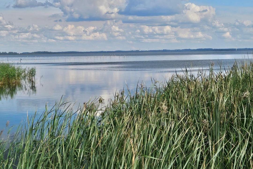 Photo of Others in Nørre Fjand