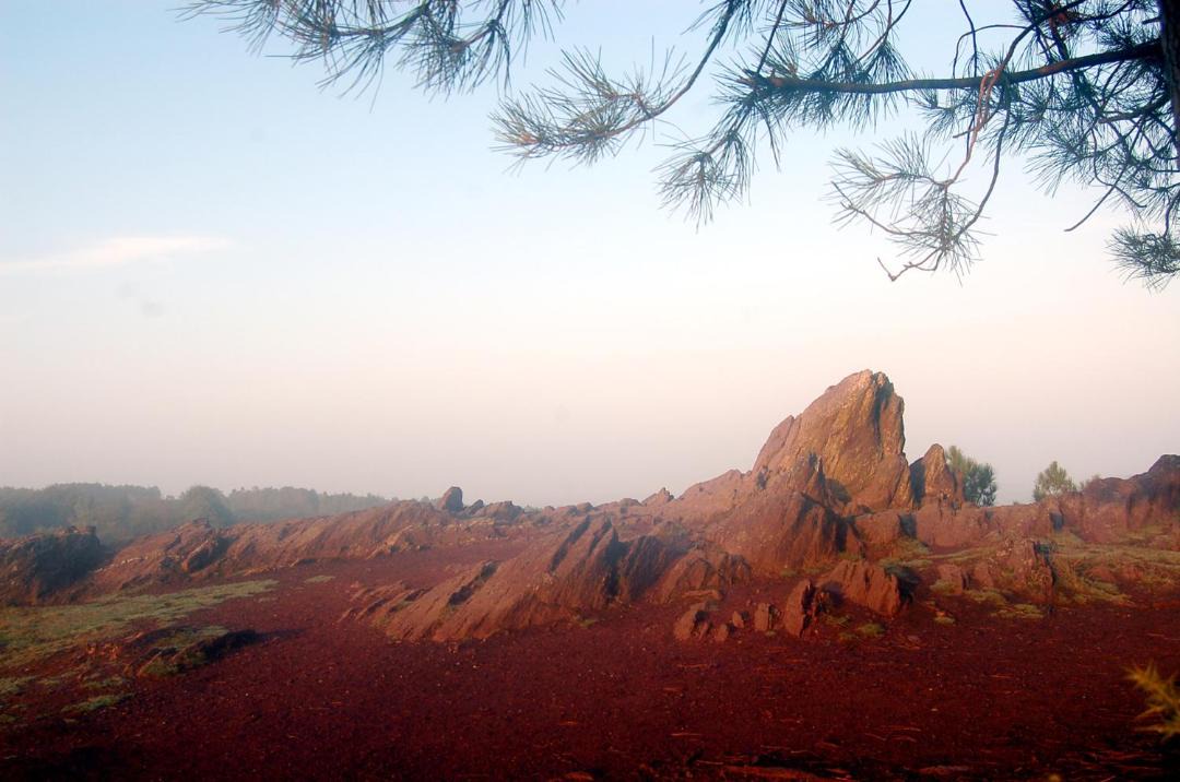 Photo of Others in Mauron