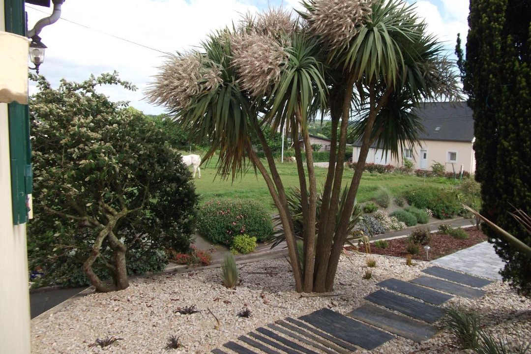 Photo of Others in Morieux