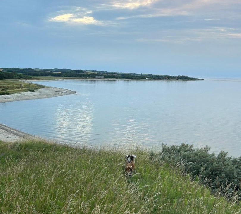 Photo of Others in Remmer Strand