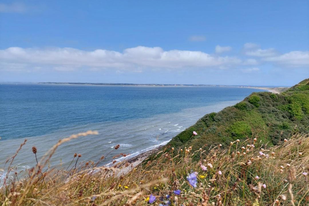 Photo of Others in Remmer Strand