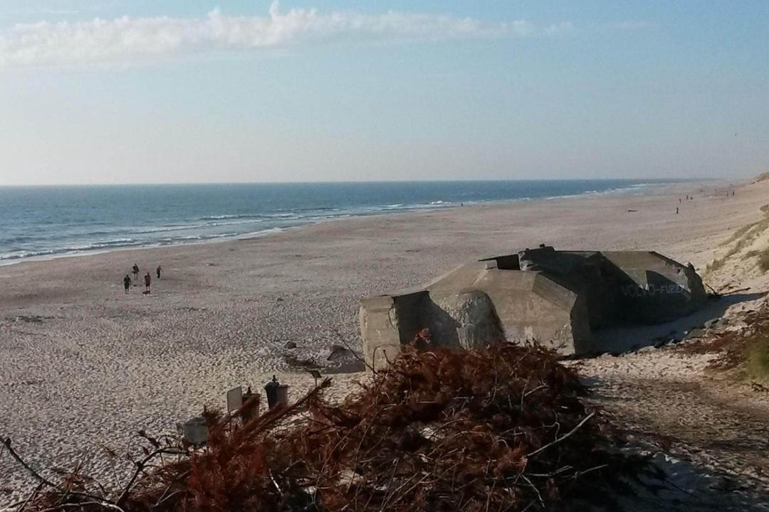 Photo of Others in Lodbjerg Hede