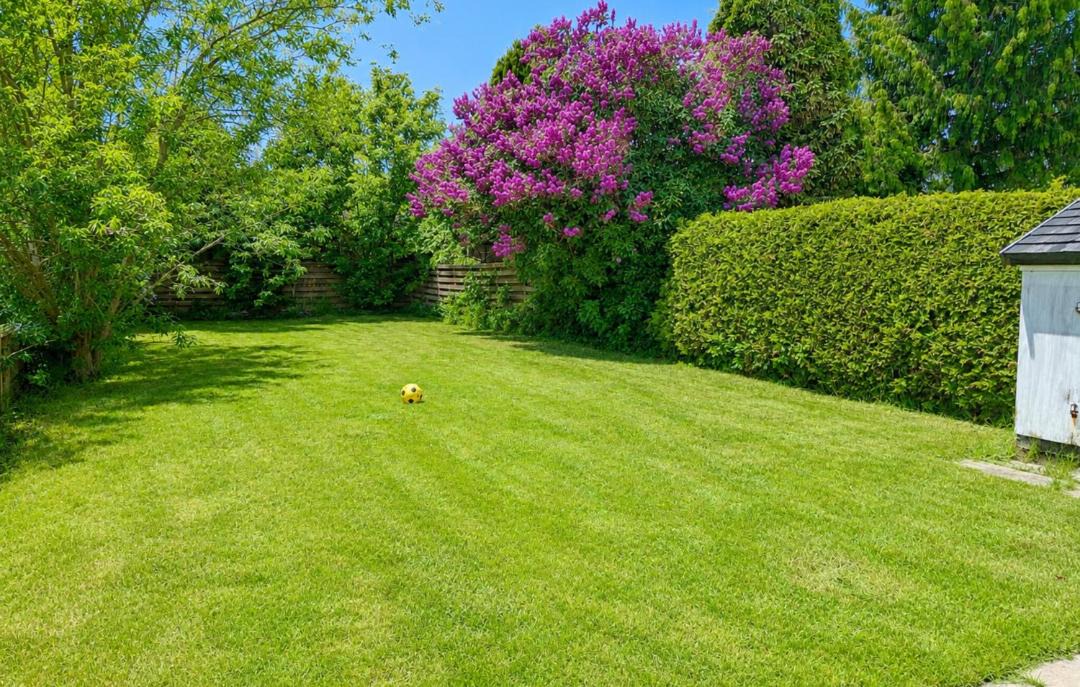 Photo of Outdoor in Faaborg