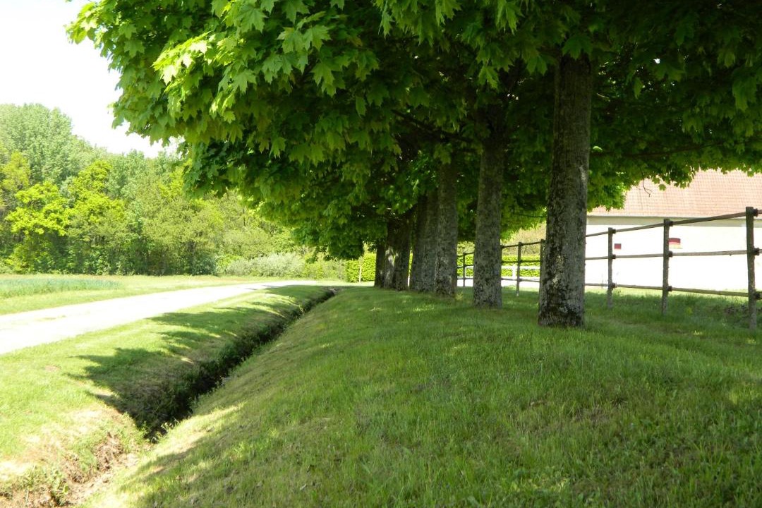 Photo of Others in Villedieu-sur-Indre
