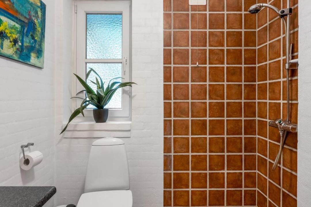 Photo of Bathroom in Graerup