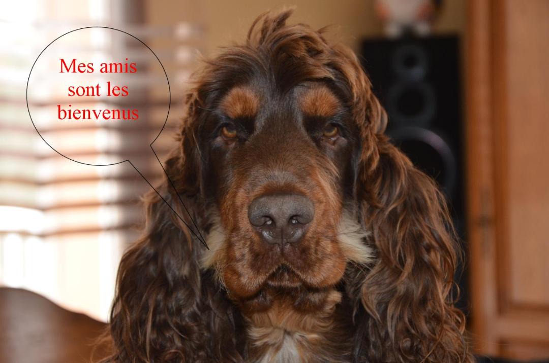 Photo of Others in Aucun