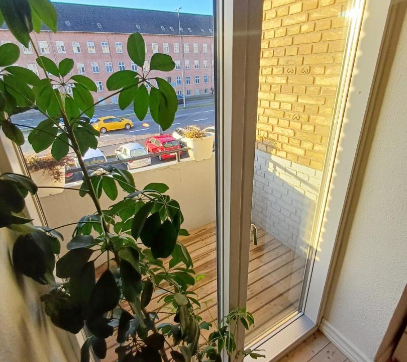 Photo of Others in Aalborg