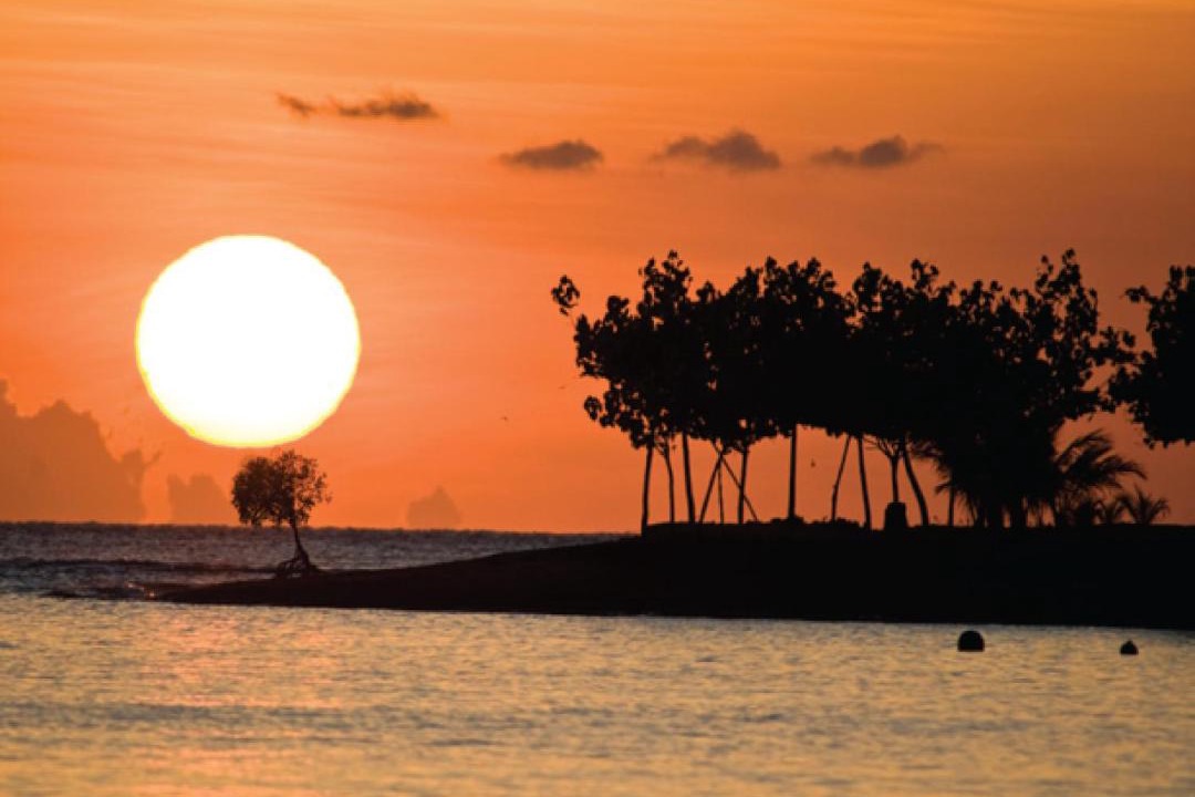 Photo of Others in Pemuteran