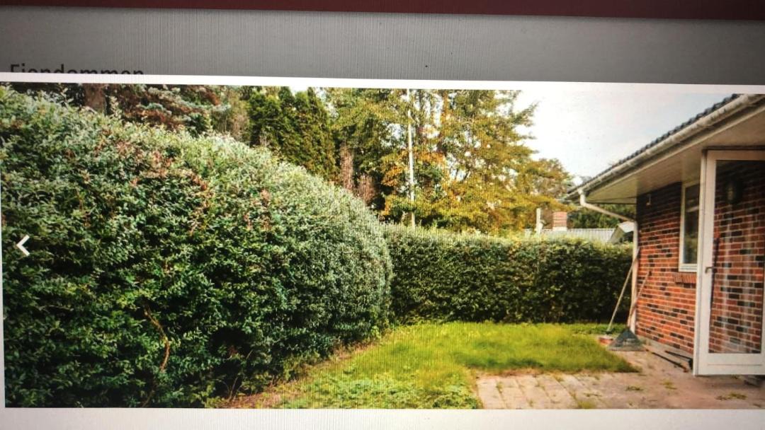 Photo of Others in Herlev