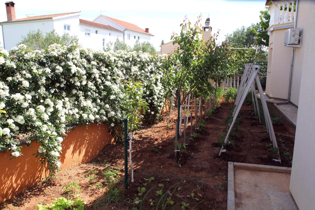 Photo of Others in Biograd na Moru