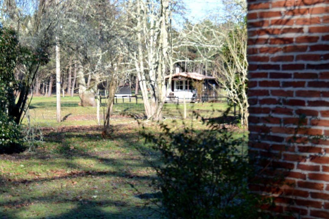 Photo of Others in Sainte-Eulalie-en-Born