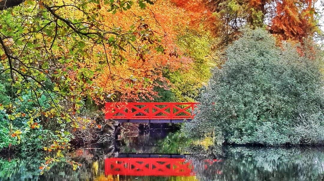 Photo of Others in Bacilly