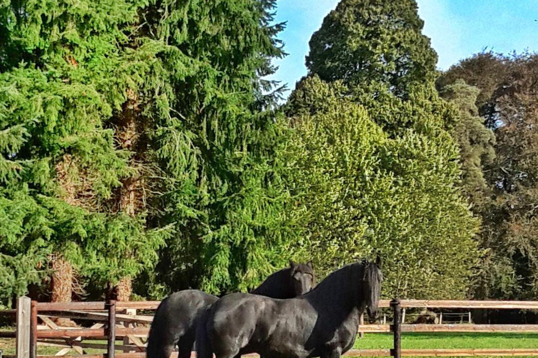 Photo of Others in Bacilly