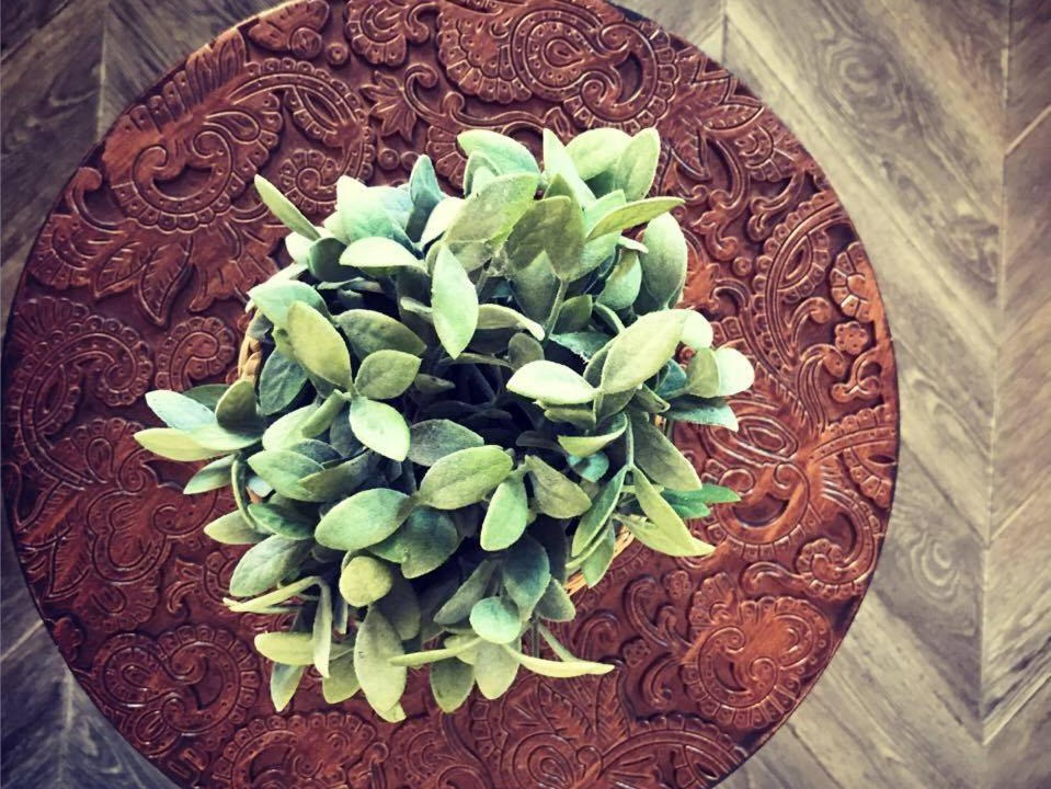 Photo of Others in Armentieres