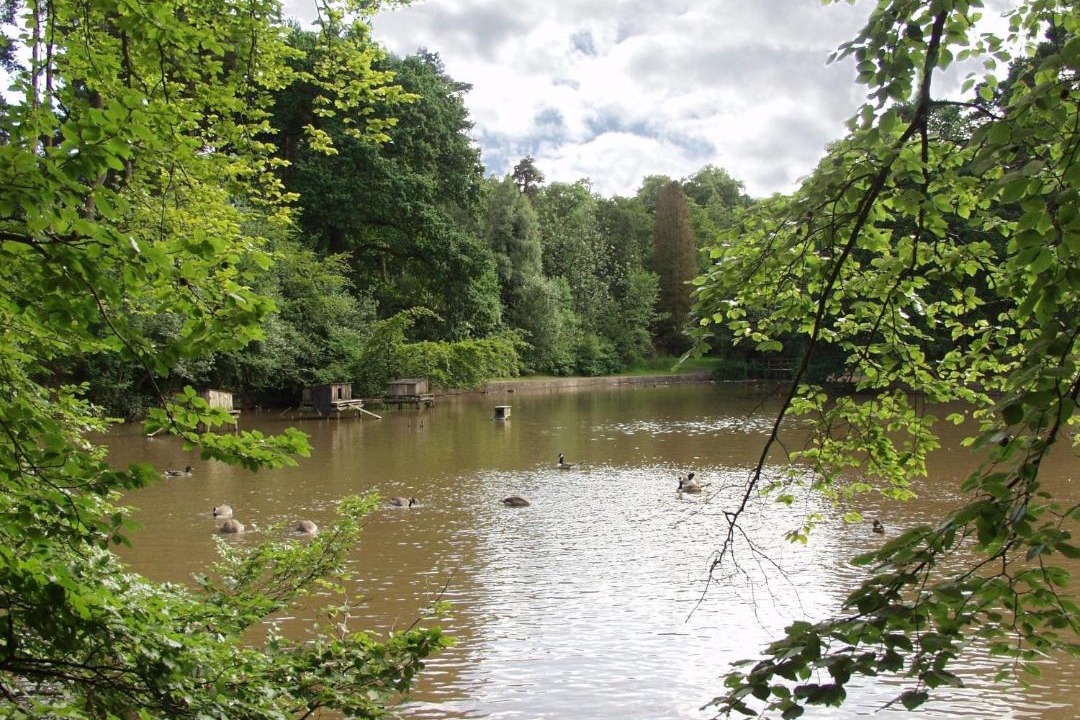 Photo of Others in Cleedownton