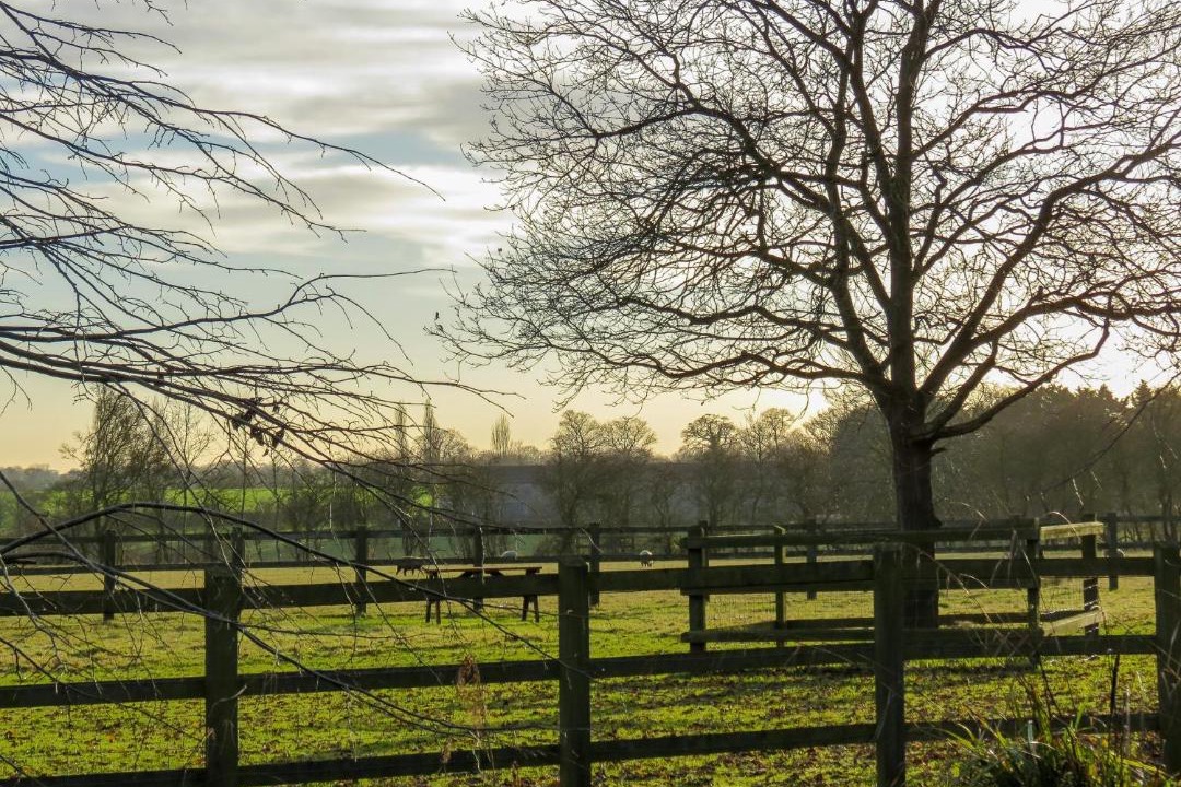 Photo of Others in Diss