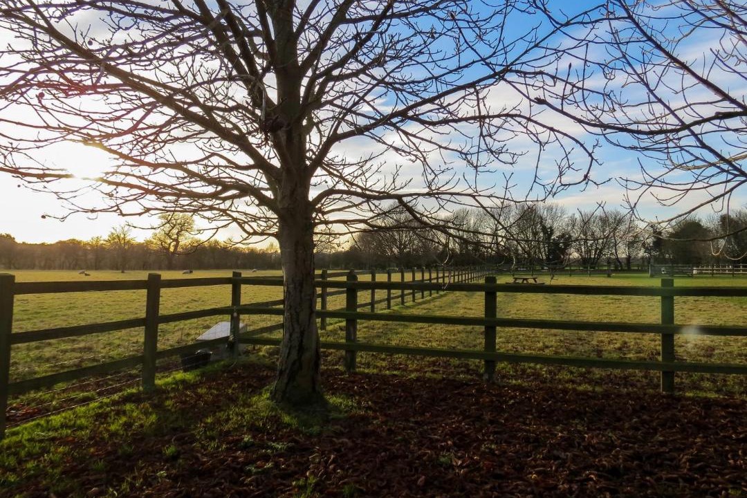 Photo of Others in Diss