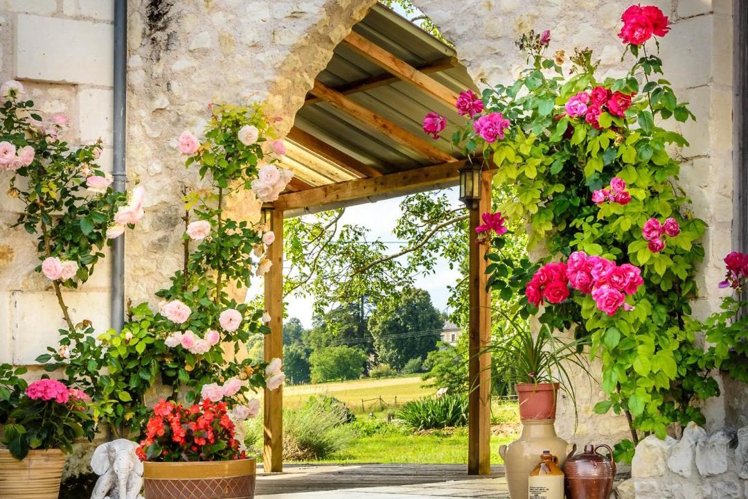 Photo of Others in Cussay