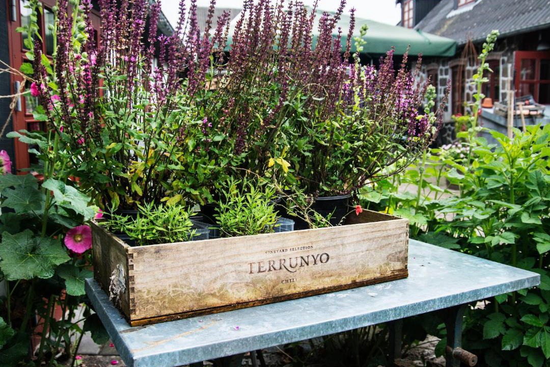 Photo of Others in Hinnerup