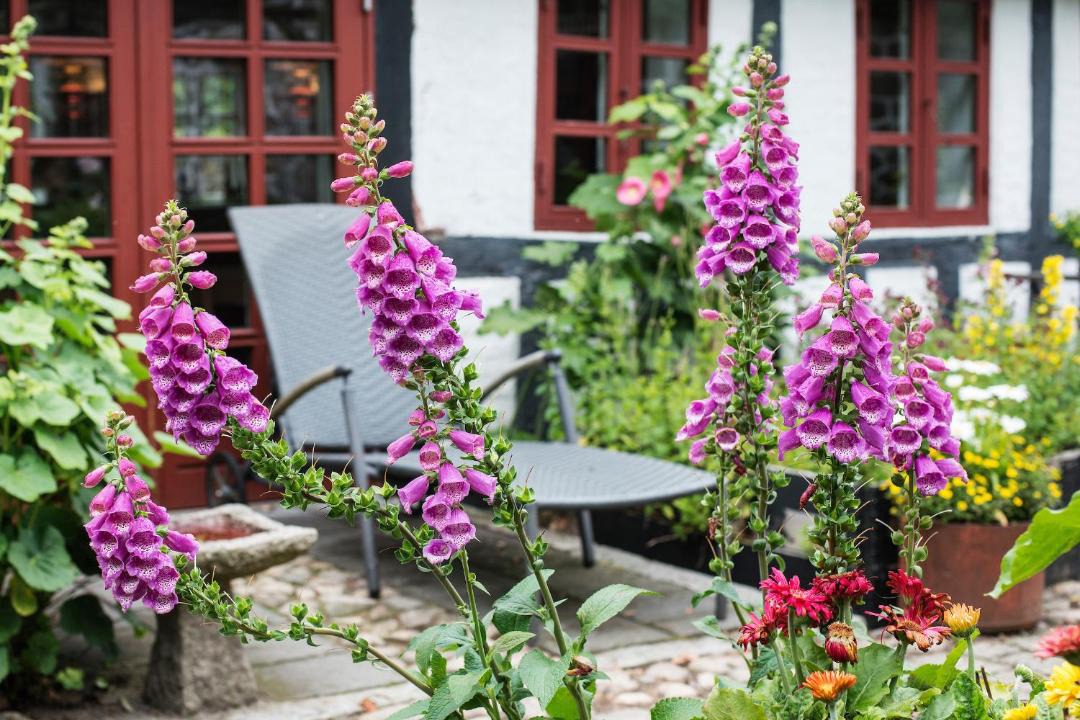 Photo of Others in Hinnerup