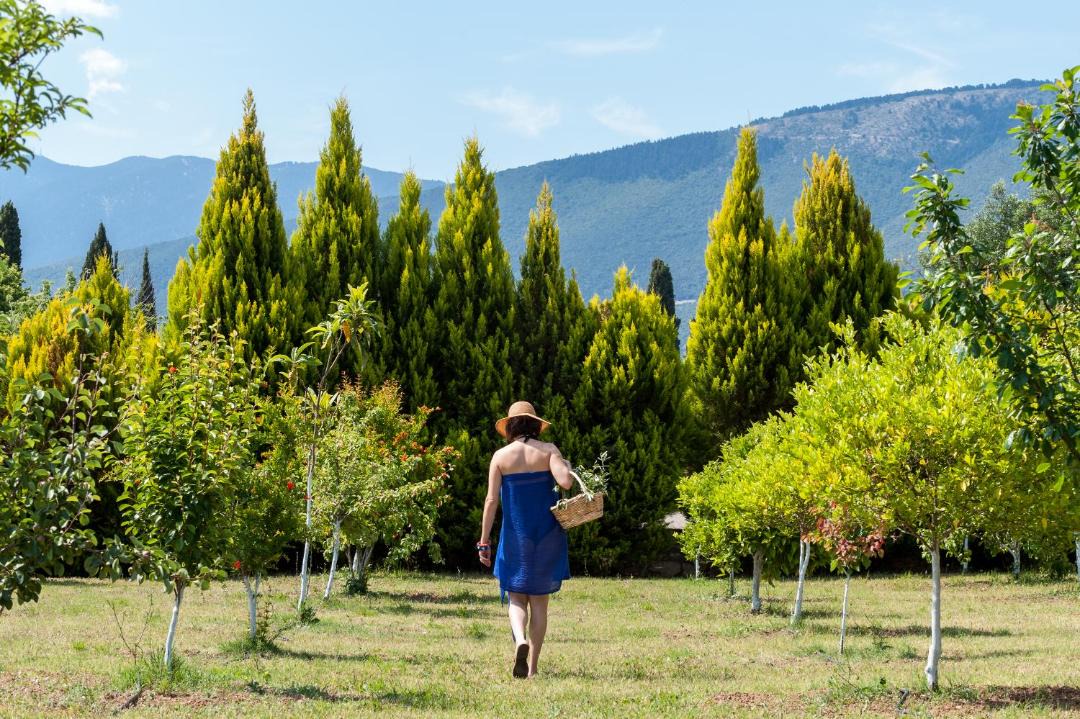 Photo of Others in Sami