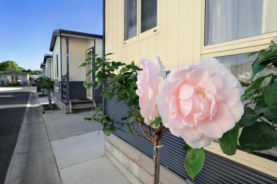 Photo of Others in Apollo Bay