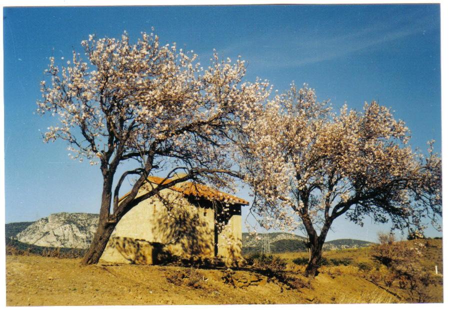 Photo of Others in Cucugnan