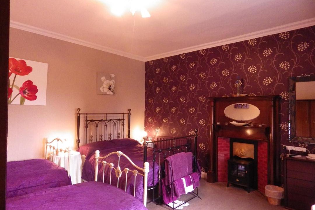 Photo of Others in Newcastleton