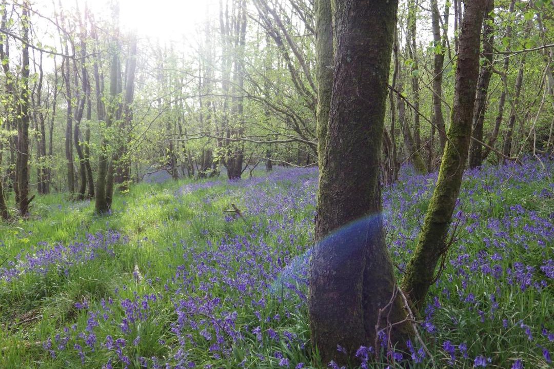 Photo of Others in Newcastleton