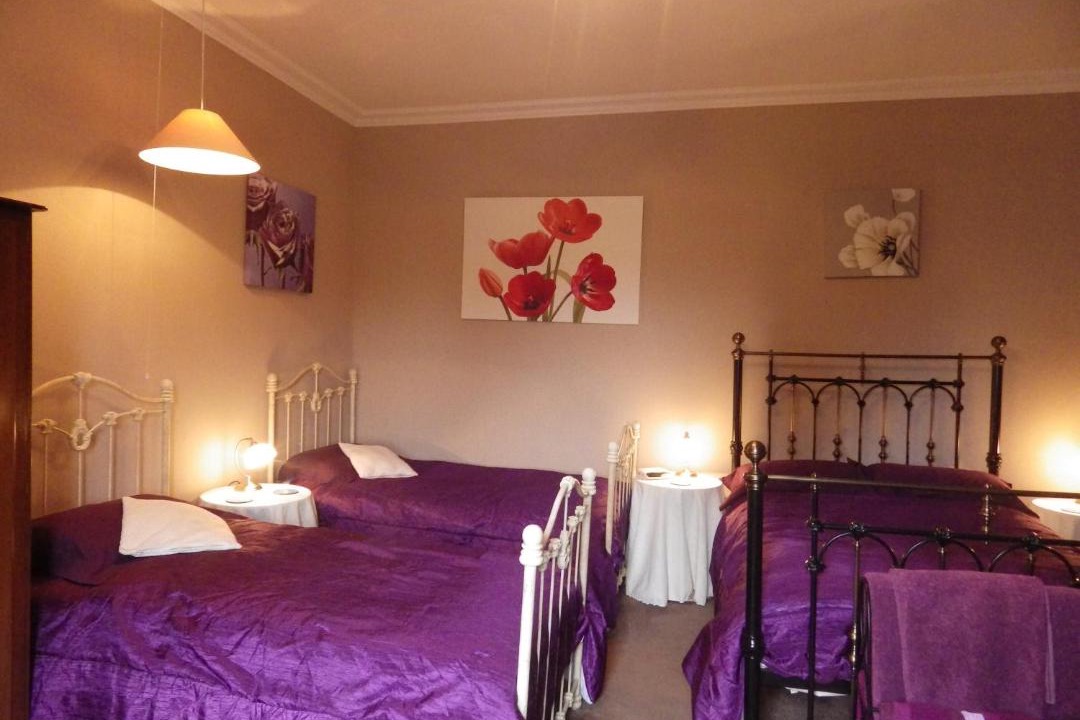 Photo of Others in Newcastleton