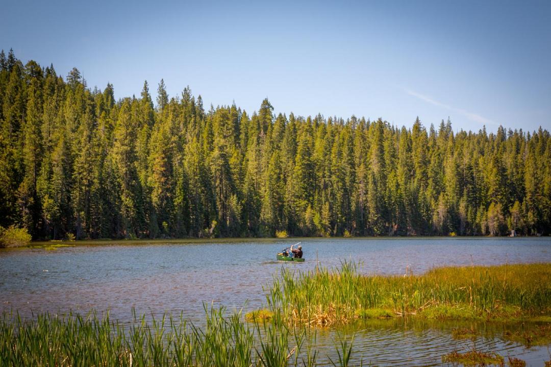 Photo of Outdoor in Emigrant Gap