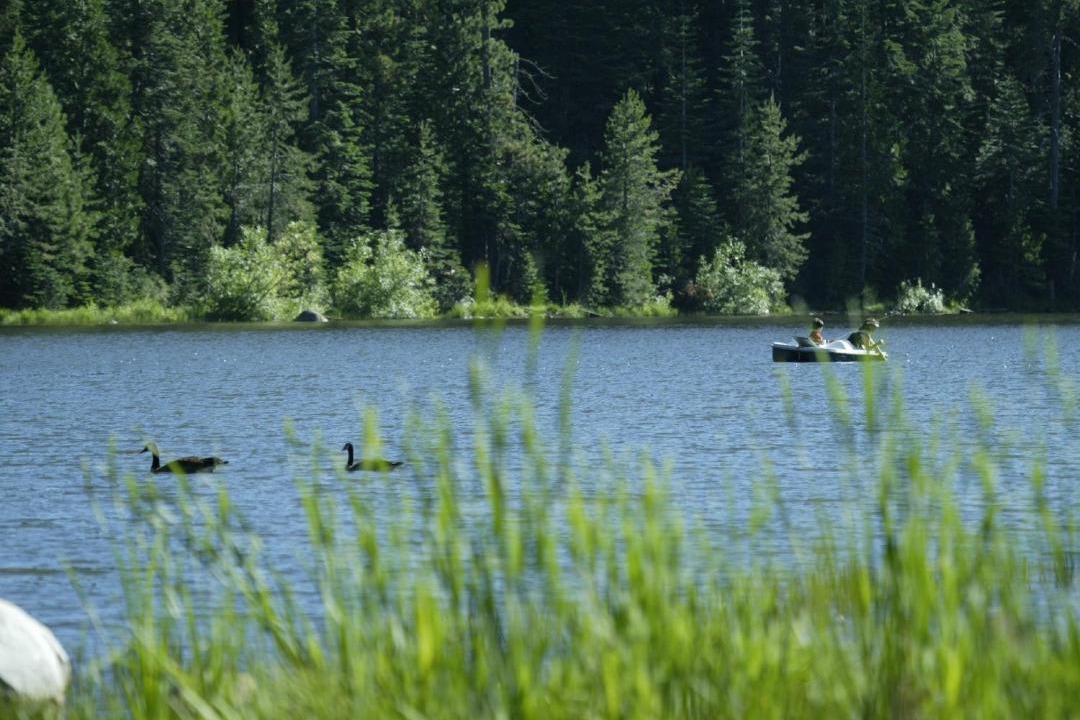 Photo of Outdoor in Emigrant Gap